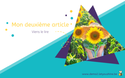 Mon deuxième article