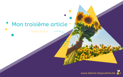 Mon troisième article